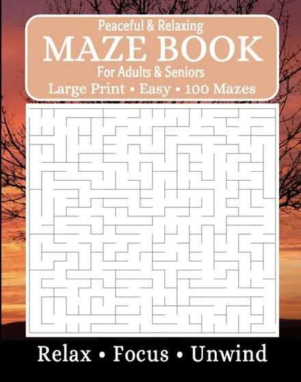 Maze Book for Adults and Seniors, front cover